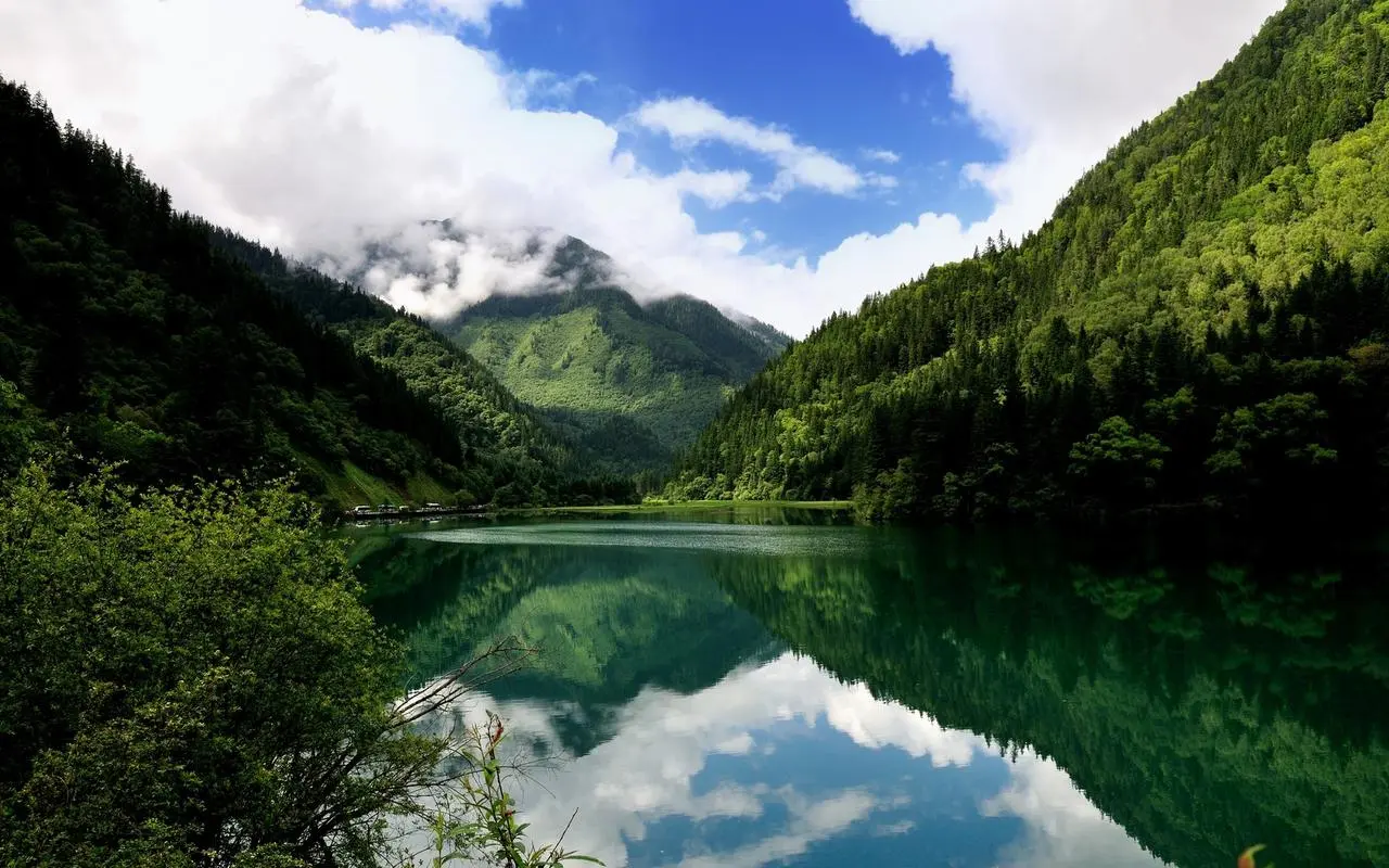 高性能精密